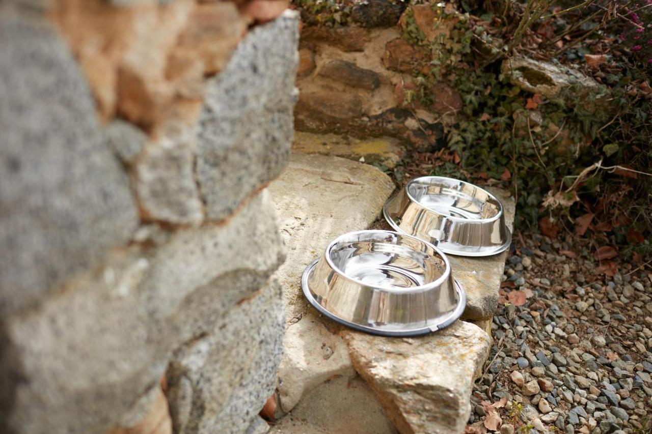 Villetta Con Giardino ⭑⭑⭑⭑⭑ - Wifi, Dogs Allowed Biella Exterior foto