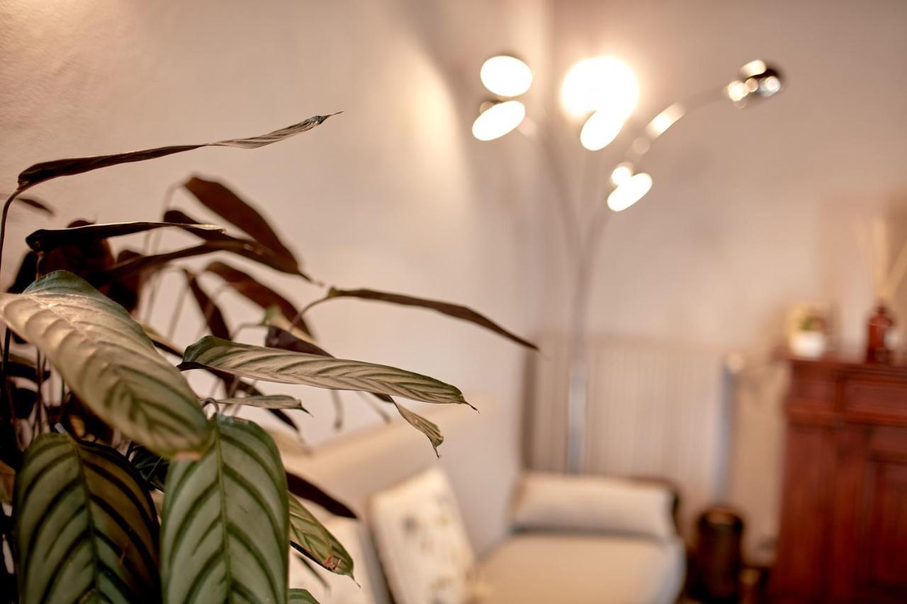 Villetta Con Giardino ⭑⭑⭑⭑⭑ - Wifi, Dogs Allowed Biella Exterior foto